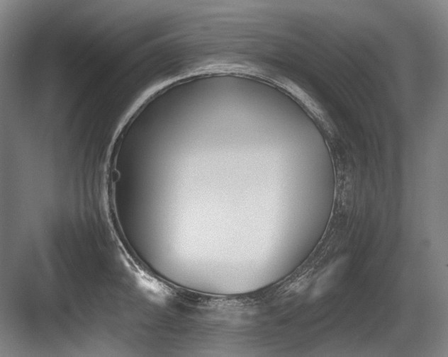 X0000083661094200702121209