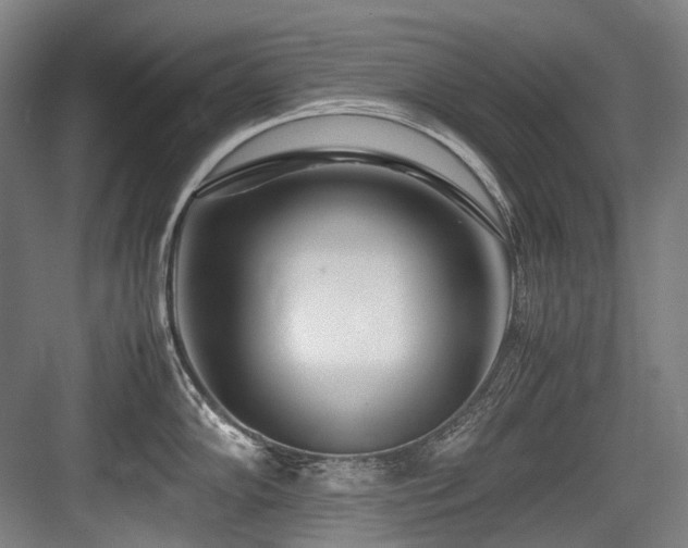 X0000083661102200702121209