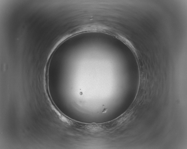 X0000083661103200702121209