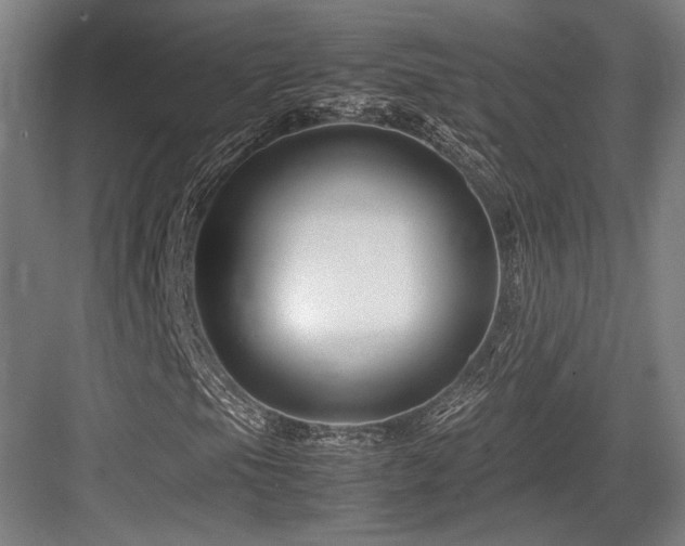 X0000083661105200702121208