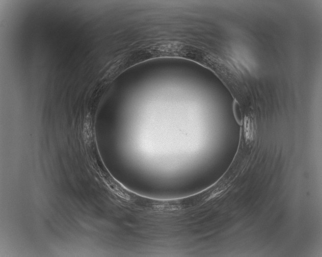 X0000083661107200702121208