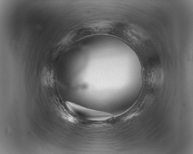 X0000083661108200702121208