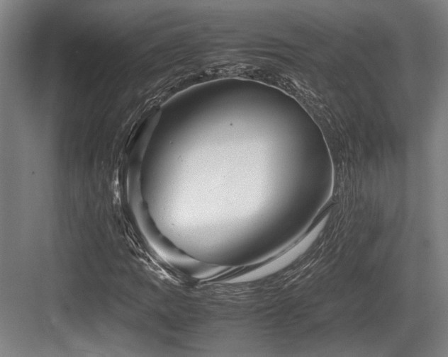 X0000083661109200702121208