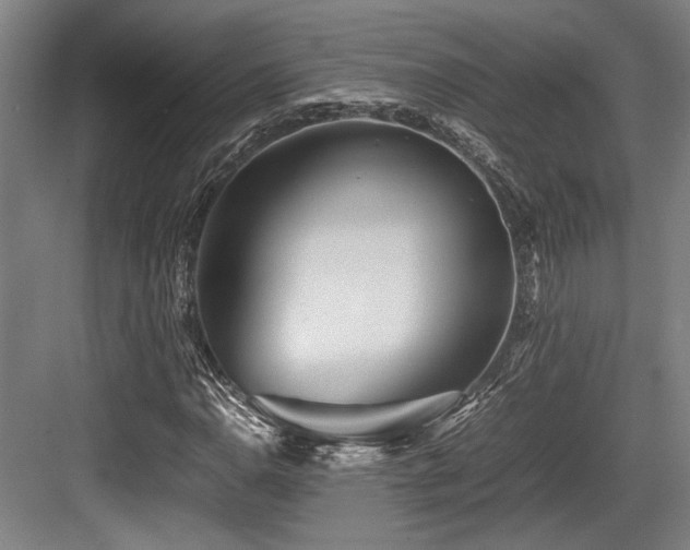 X0000083661110200702121208