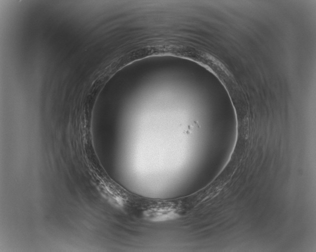 X0000083661111200702121208