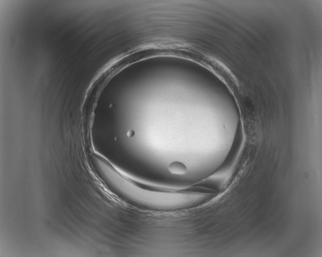 X0000083661114200702121208