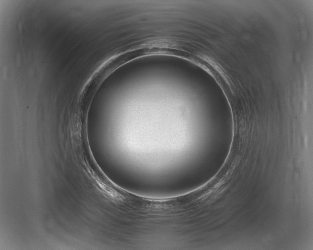 X0000083661115200702121209