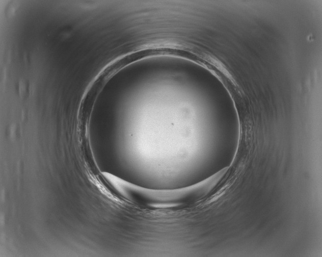 X0000083661116200702121209