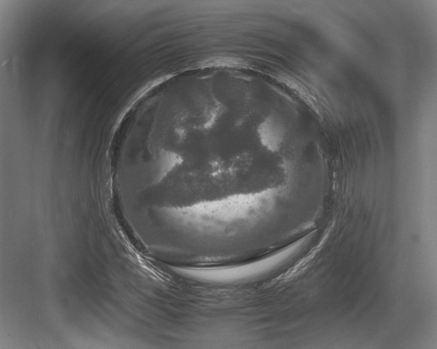 X0000083661117200702121209