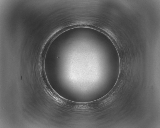 X0000083661119200702121209