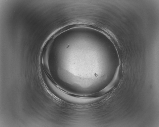 X0000083661120200702121209