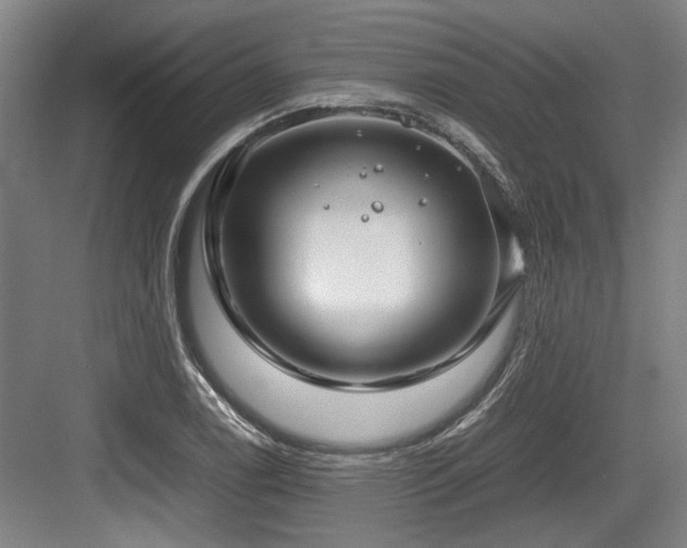 X0000083661122200702121209