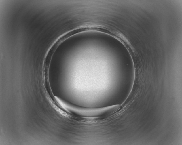 X0000083661124200702121209