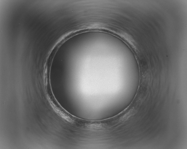 X0000083661126200702121209