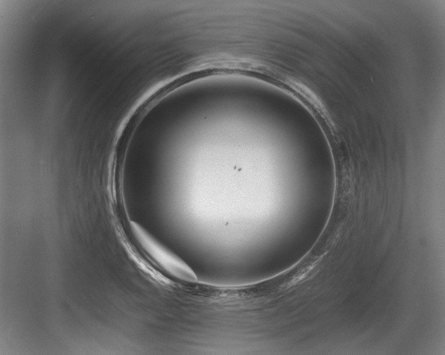 X0000083661128200702121209
