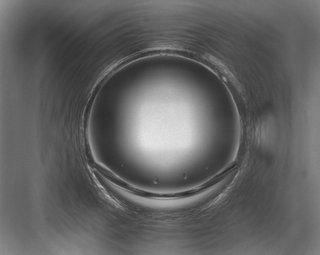 X0000083661129200702121209