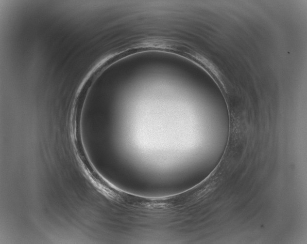 X0000083661131200702121209