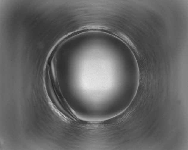 X0000083661132200702121209