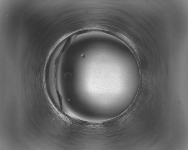 X0000083661133200702121209