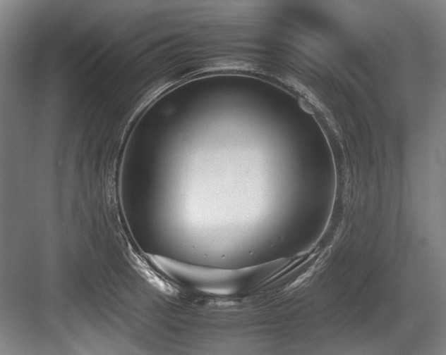 X0000083661137200702121209