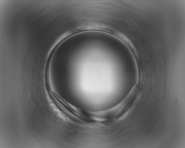 X0000083661138200702121209