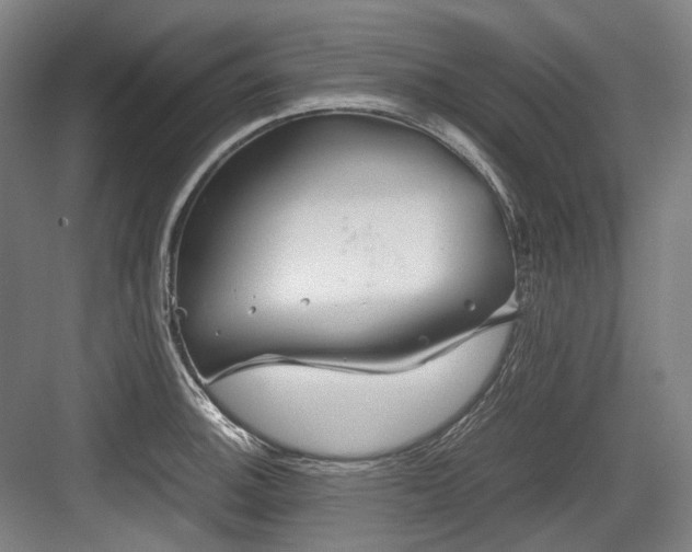 X0000083661140200702121209