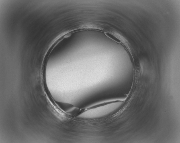 X0000083661141200702121209