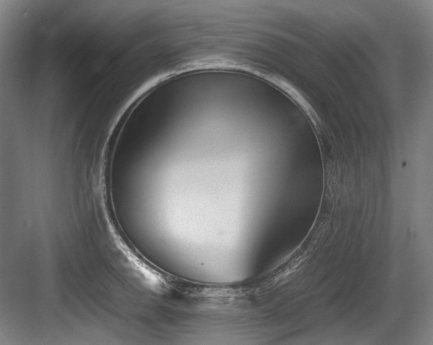 X0000083661142200702121209