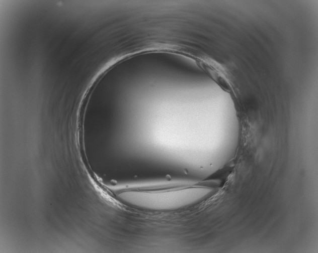 X0000083661143200702121209