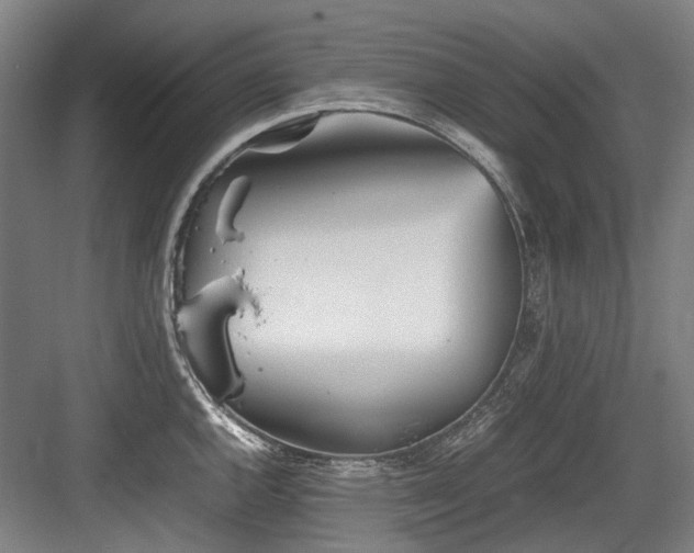 X0000083661144200702121209