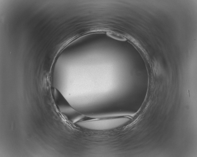 X0000083661145200702121209