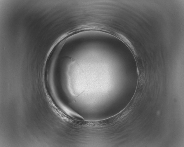X0000083661146200702121209
