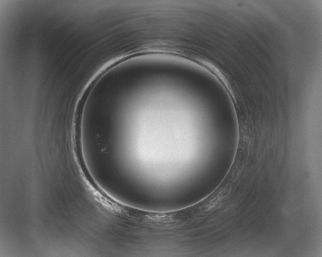 X0000083661147200702121209