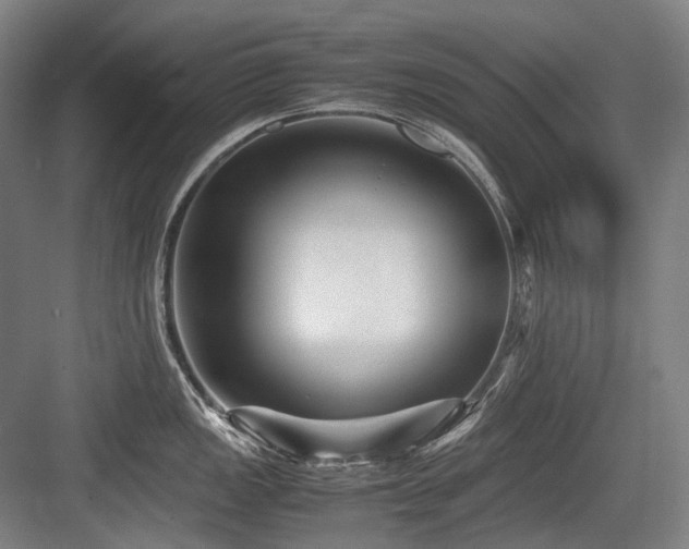 X0000083661149200702121209