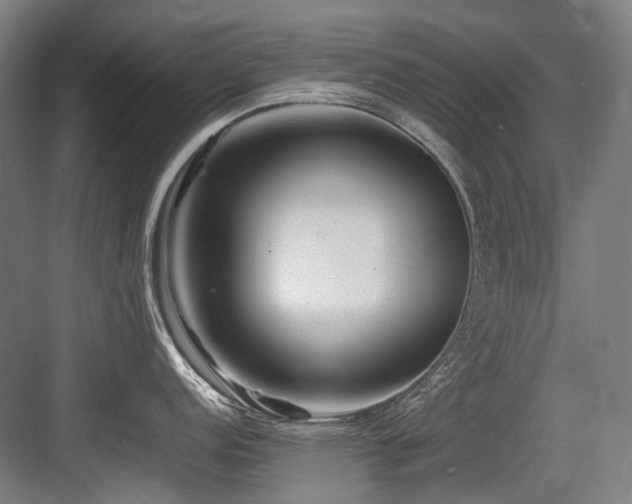 X0000083661152200702121209