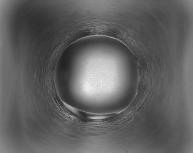 X0000083661153200702121208