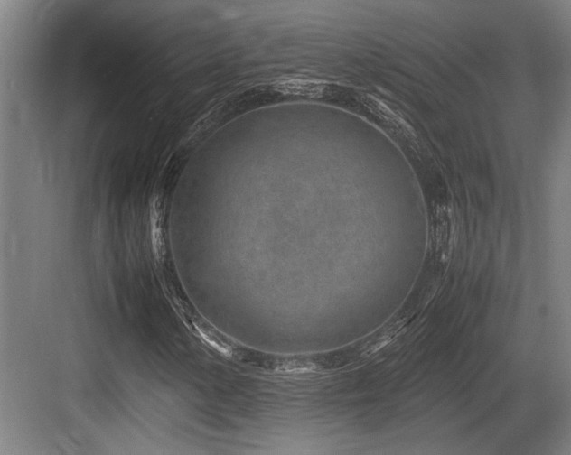 X0000083661154200702121208