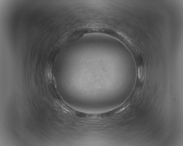 X0000083661155200702121208