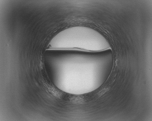 X0000083661156200702121208