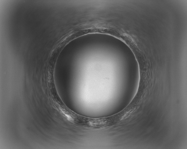 X0000083661159200702121208