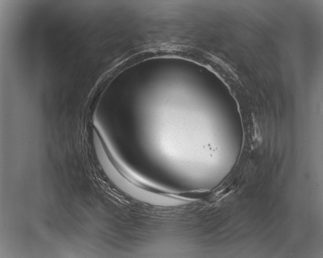 X0000083661160200702121208