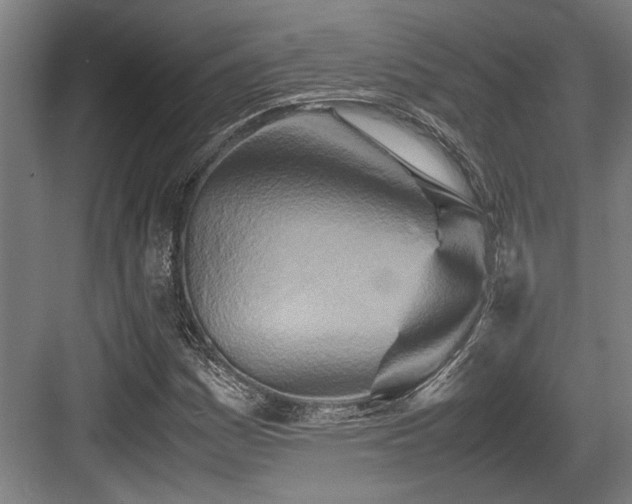 X0000083661161200702121208
