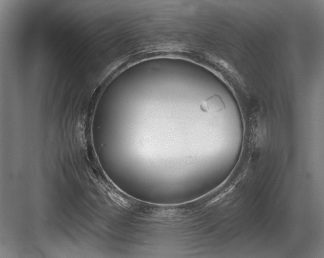X0000083661162200702121208