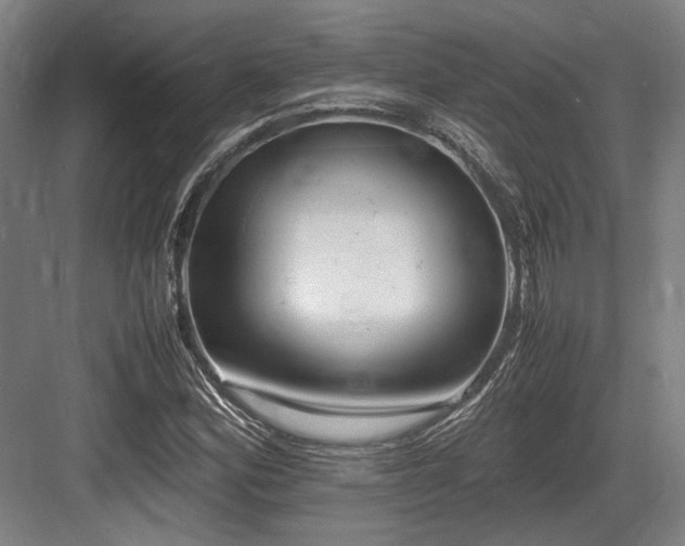 X0000083661164200702121208