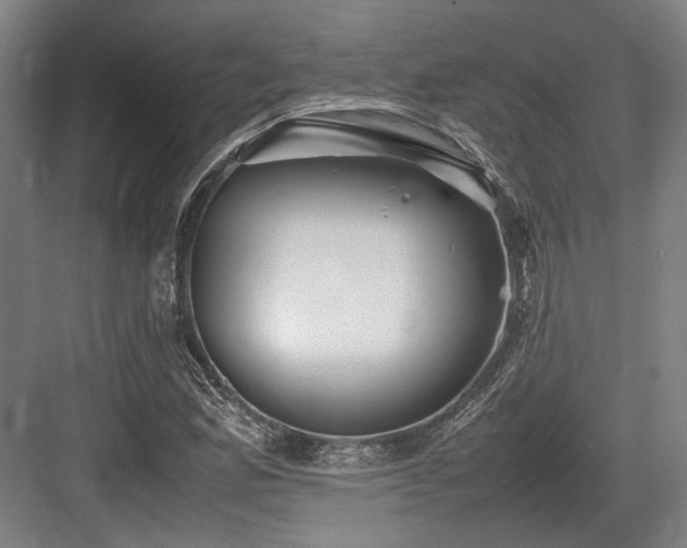 X0000083661165200702121208