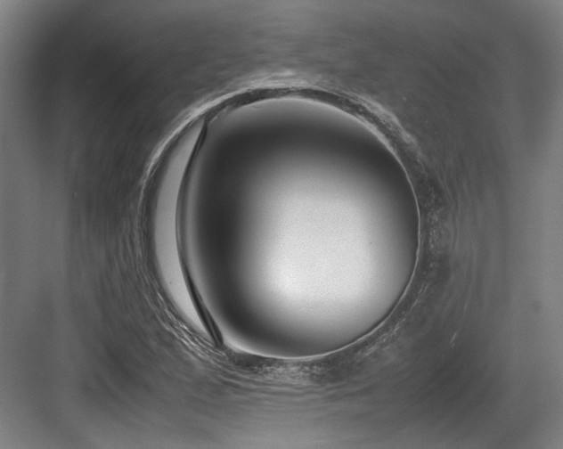 X0000083661167200702121208