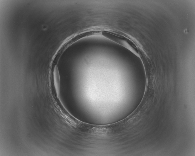 X0000083661168200702121208
