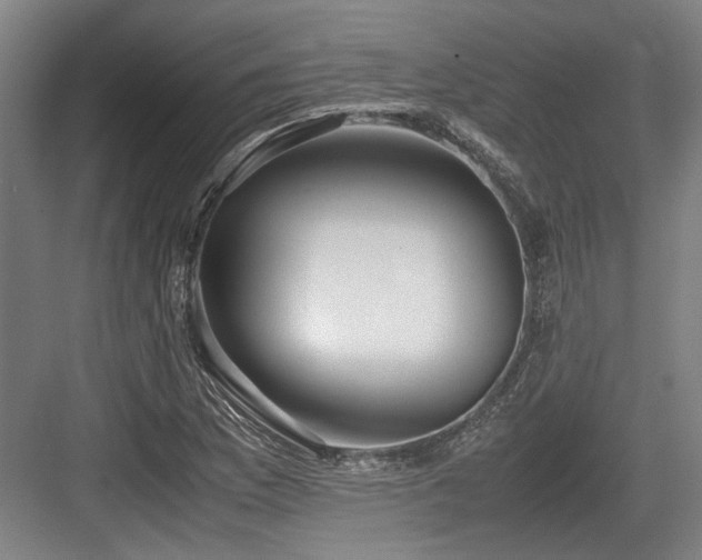X0000083661169200702121208