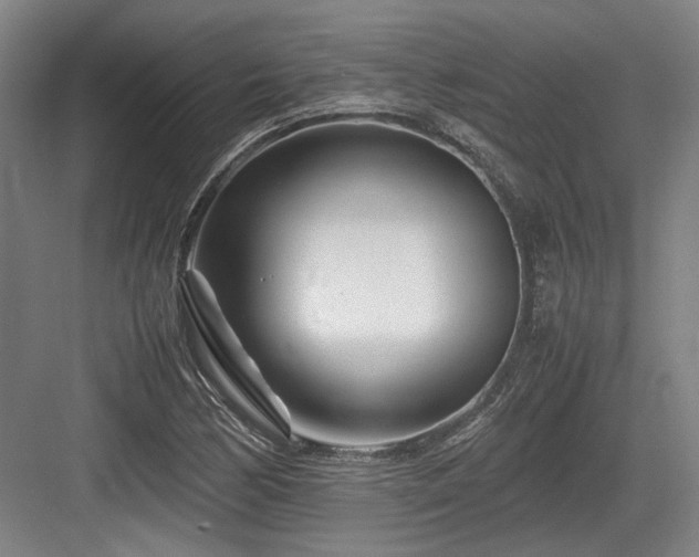 X0000083661170200702121208