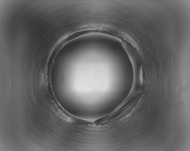X0000083661172200702121208